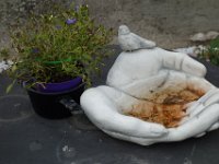 Grillnachmittag (38)