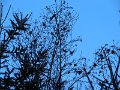 DSCN4537