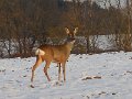 DSCN4551