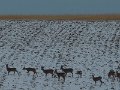 DSCN4612