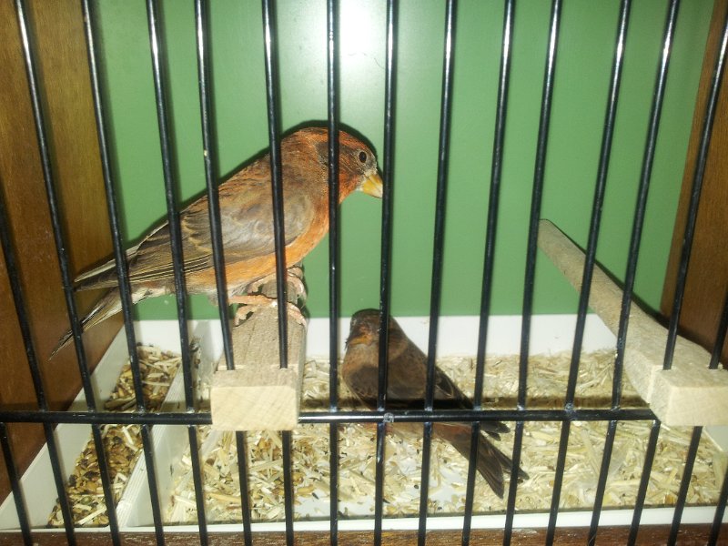 20130105_133727.jpg - User comments