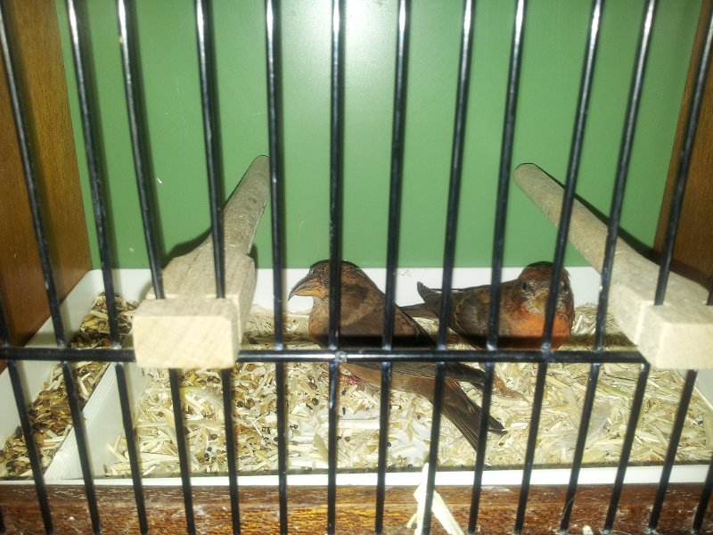 20130105_133805.jpg - User comments