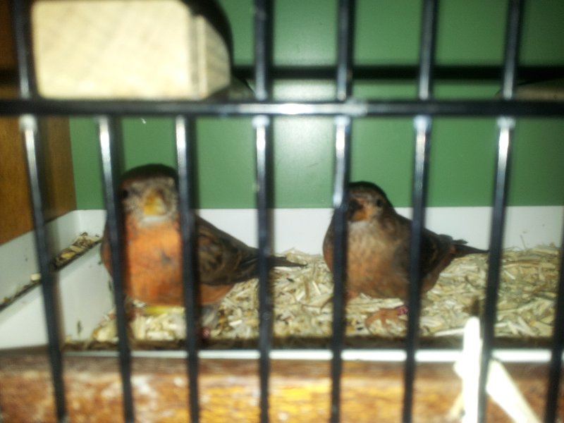 20130105_133836.jpg - User comments