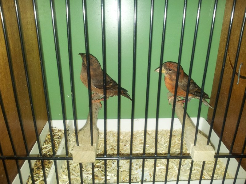 20130105_133849.jpg - User comments