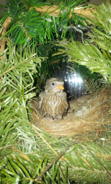 20130310_165638.jpg - User comments