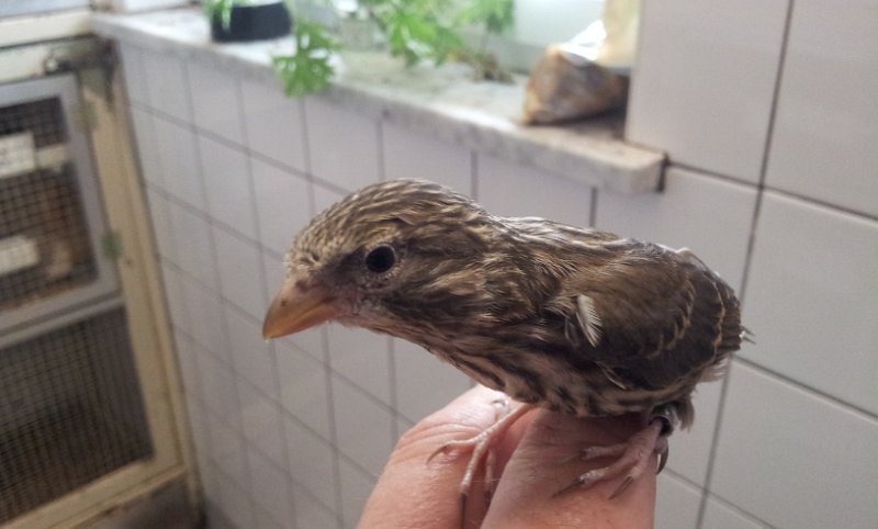 20130422_175019.jpg - User comments