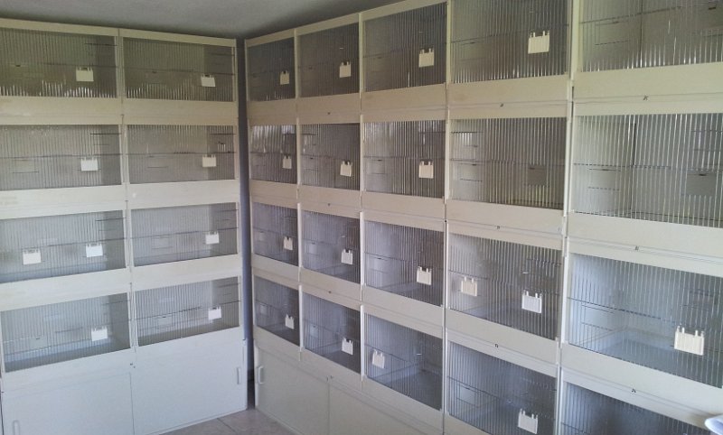 20130907_161933.jpg - User comments