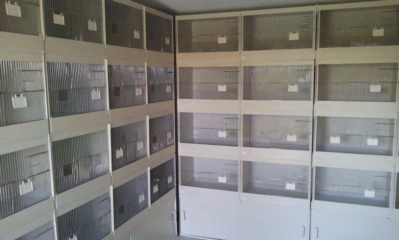 20130907_161948.jpg - User comments