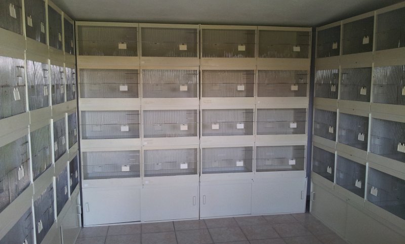 20130907_162003.jpg - User comments