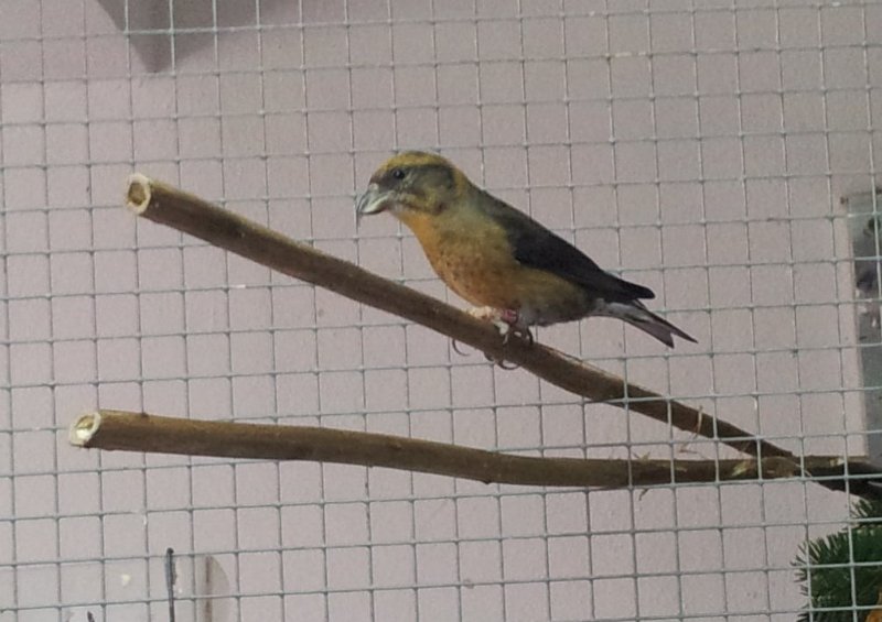 20130907_162743.jpg - User comments