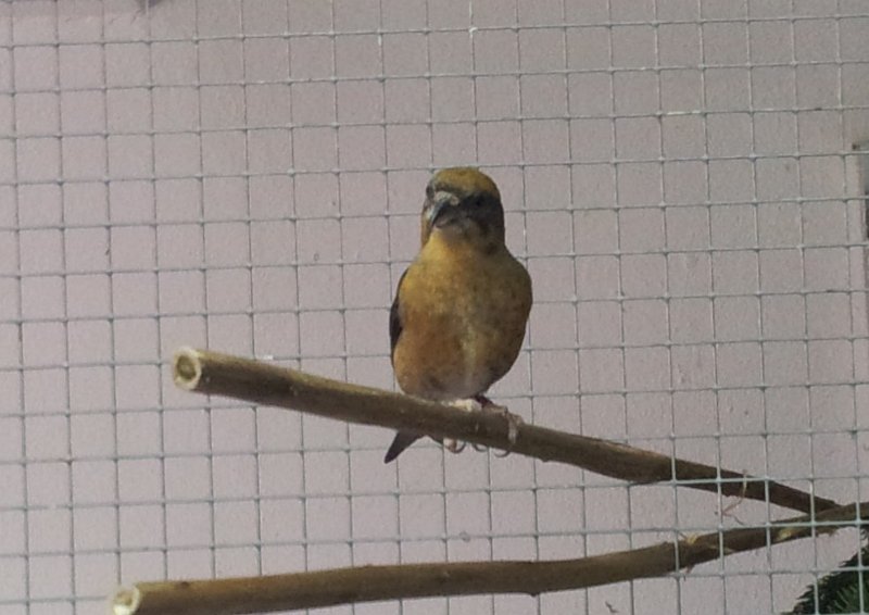 20130907_162759.jpg - User comments