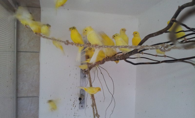 20130907_163035.jpg - User comments