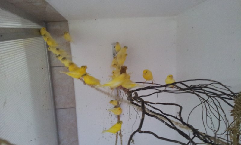 20130907_163042.jpg - User comments