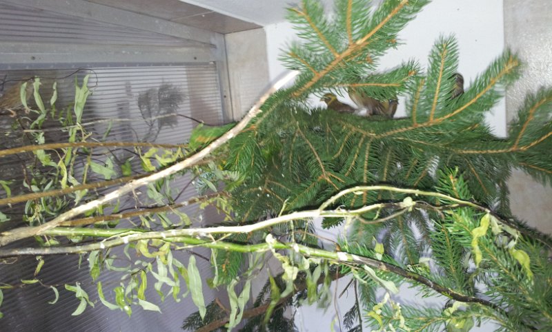 20130907_163115.jpg - User comments