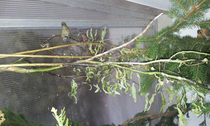 20130907_163129.jpg - User comments