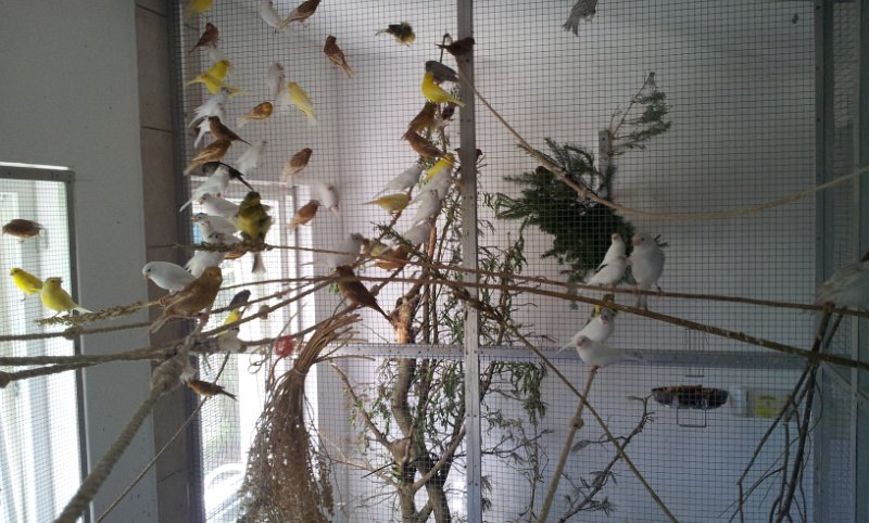 20130907_163303.jpg - User comments