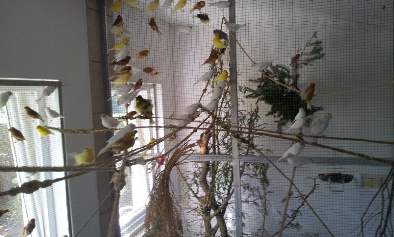 20130907_163310.jpg - User comments