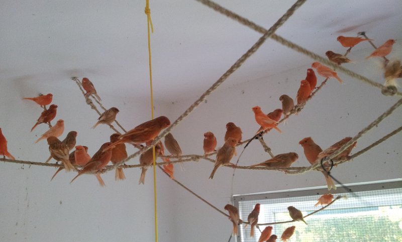 20130907_163340.jpg - User comments