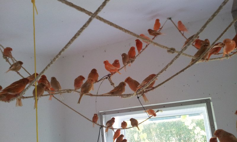 20130907_163345.jpg - User comments