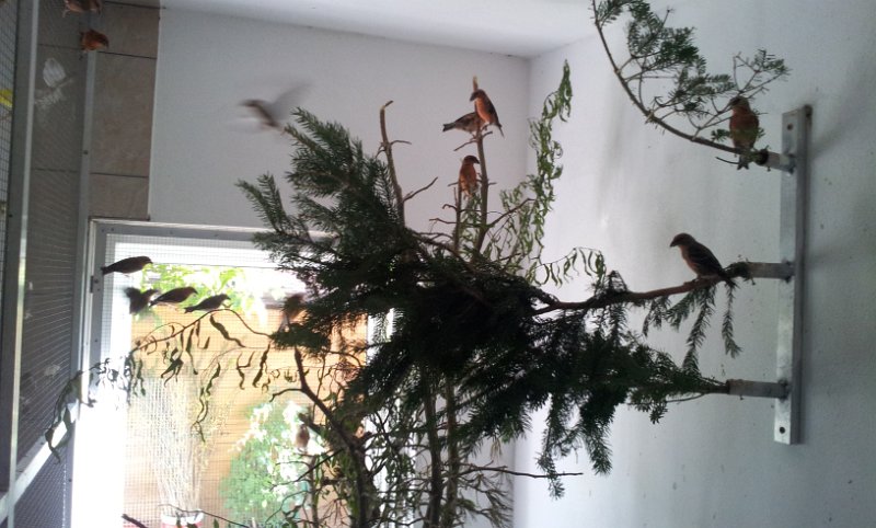 20130907_163509.jpg - User comments