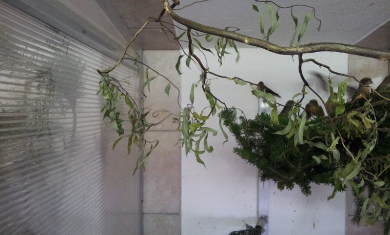 20130907_163702.jpg - User comments