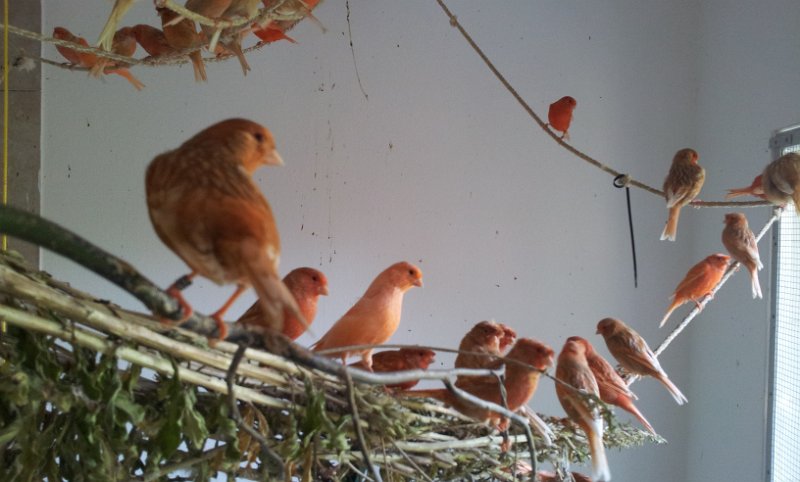 20130907_163744.jpg - User comments