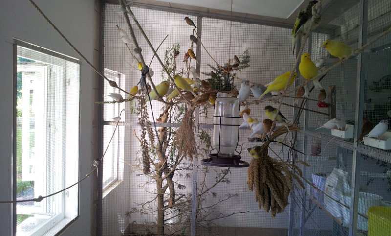 20130907_163758.jpg - User comments