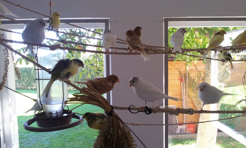 20130907_163818.jpg - User comments