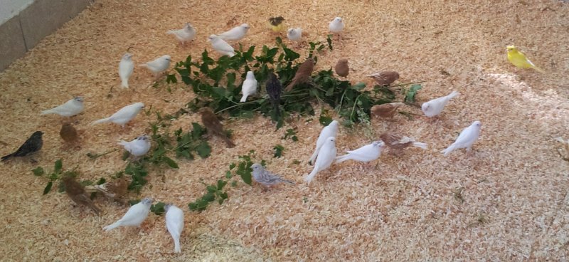 20130907_164207.jpg - User comments