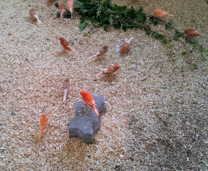 20130907_164558.jpg - User comments